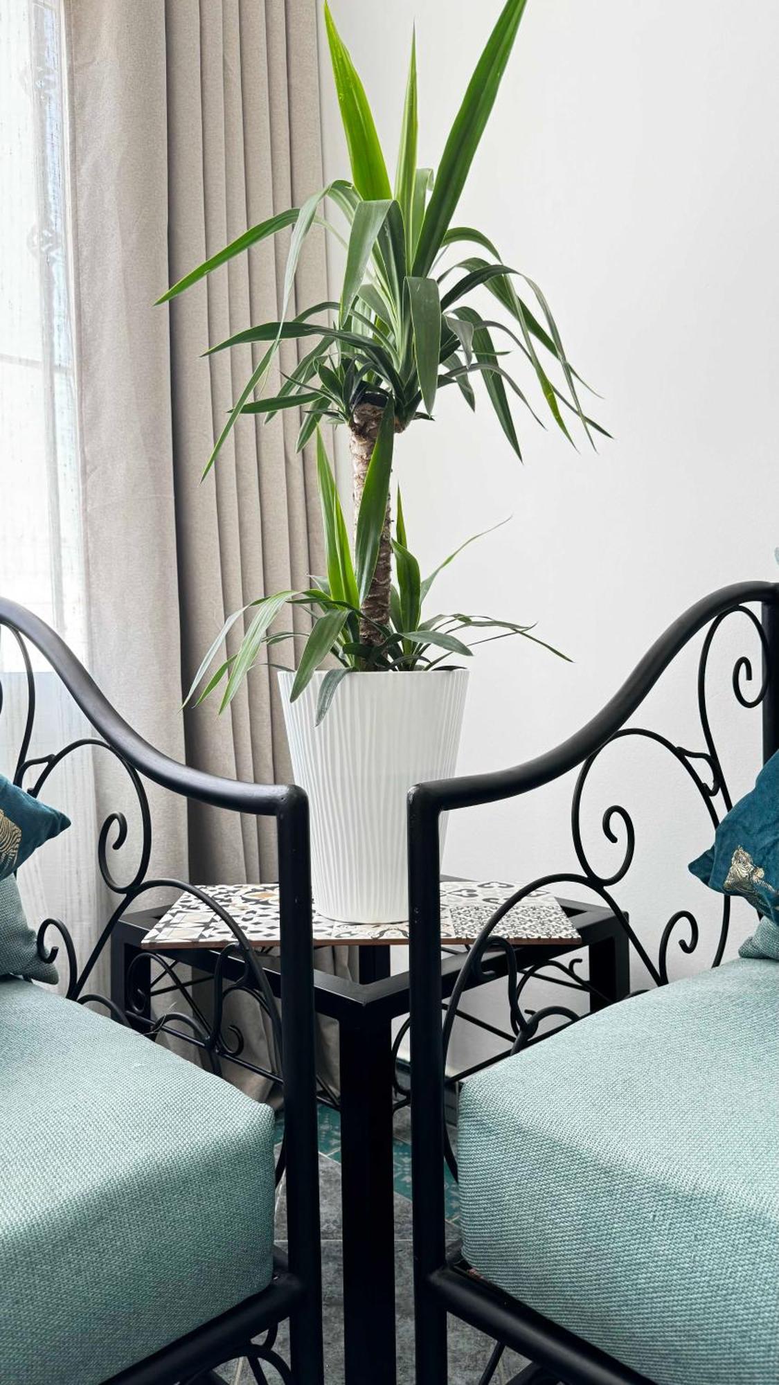 Calays Tu Hogar Junto Al Mar Apartman Tanger Kültér fotó